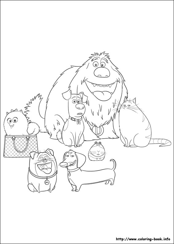 The secret life of Pets coloring picture