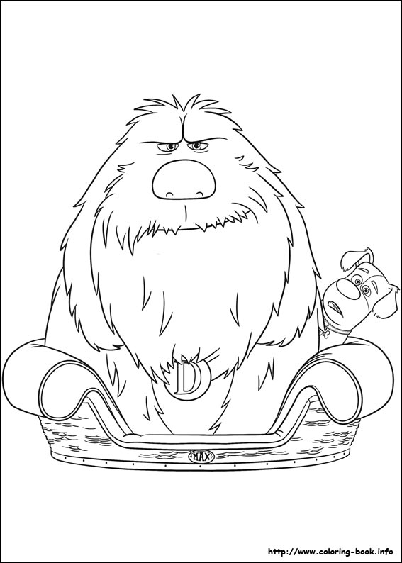 The secret life of Pets coloring picture