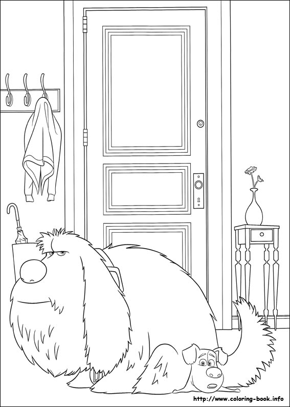 The secret life of Pets coloring picture