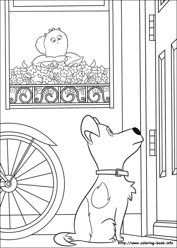 The secret life of Pets coloring picture