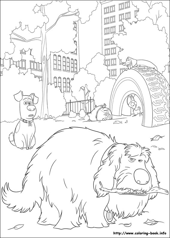 The secret life of Pets coloring picture