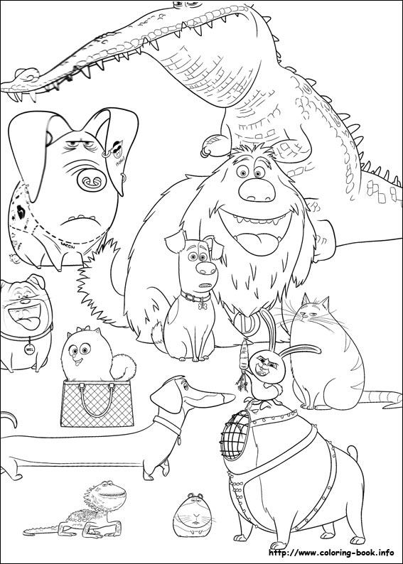 The secret life of Pets coloring picture