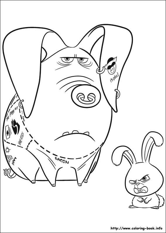 The secret life of Pets coloring picture