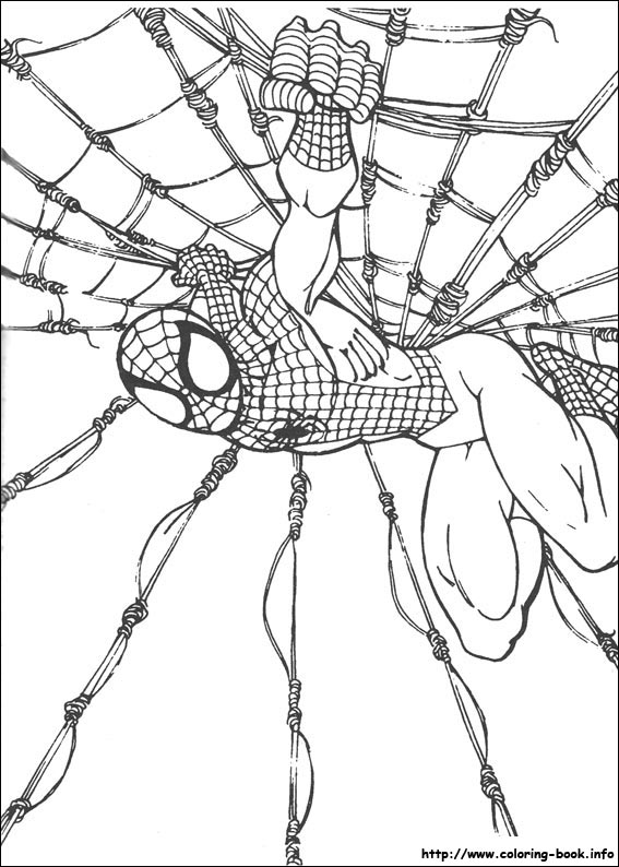 Spiderman coloring picture