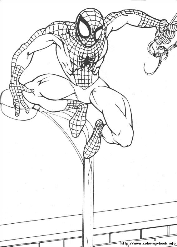 Spiderman coloring picture