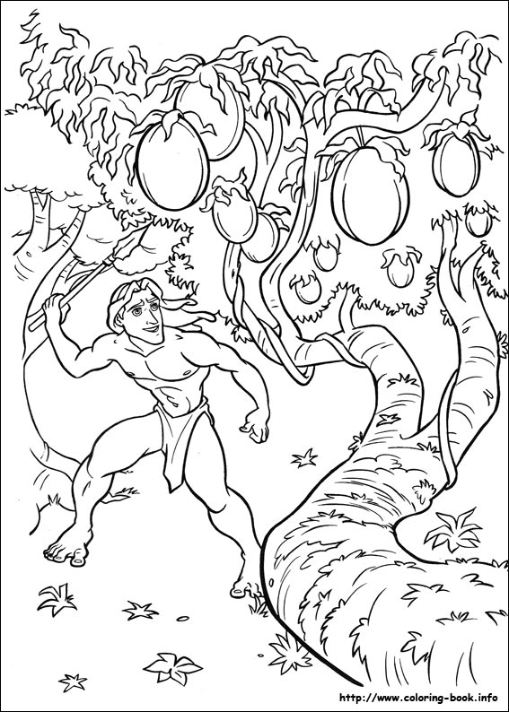 Tarzan coloring picture