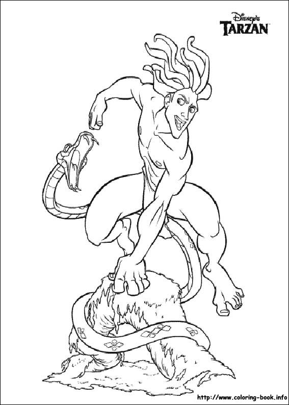 Tarzan coloring picture