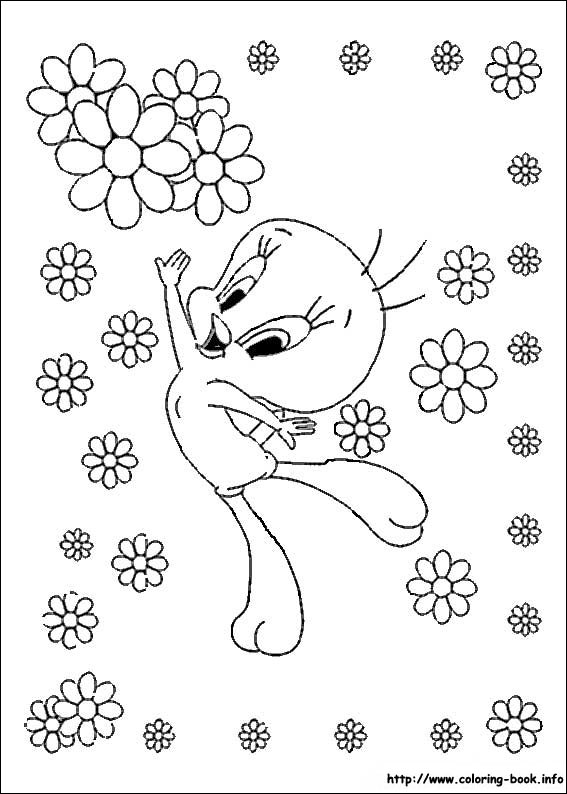 Tweety coloring picture