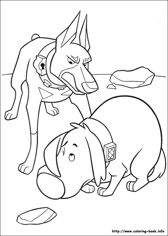 Up coloring picture