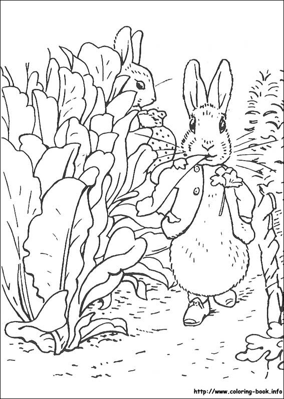 Download Peter Rabbit Coloring Picture