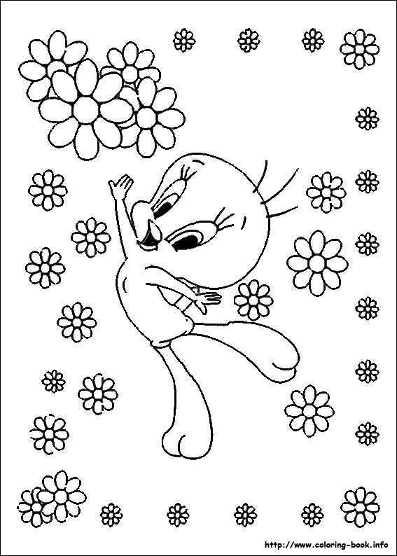 Tweety coloring picture