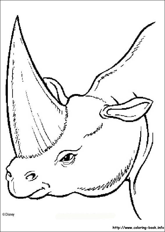 Dinosaur coloring picture