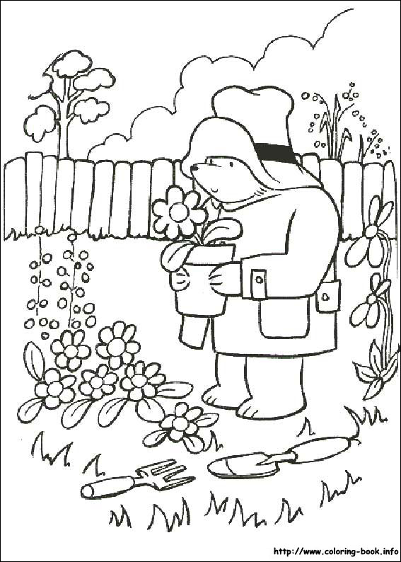 Paddington Bear coloring picture