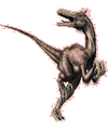 Dinosaur coloring pages